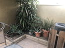 cacrmls/f80845cf4453c96d6c0342b9d24263bb.jpg?width=131&height=105&format3=webp