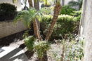 cacrmls/f84e147502fe459bd9a4bd0892e07919.jpg?width=131&height=105&format3=webp
