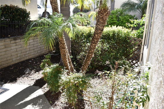 View of a garden area with palm trees and greenery surrounding a building.