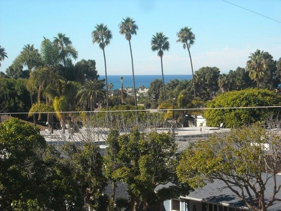 View of rooftops and trees with the ocean in the background.