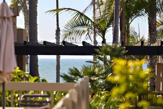 View of palm trees and the ocean from a building angle.