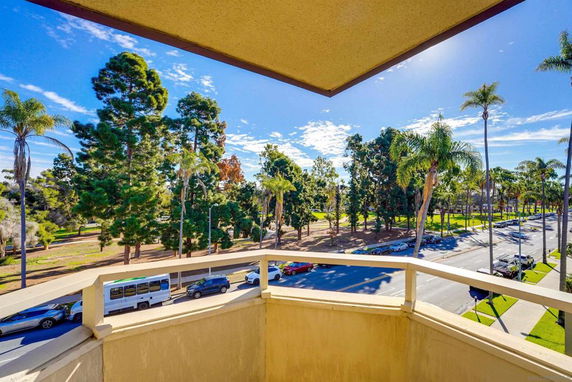 View from a balcony overlooking a street lined with tall palm and pine trees under a clear blue sky.