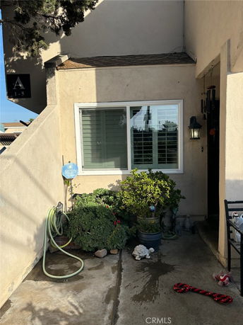 Front view of a building entrance with a window, potted plants, and a hose.