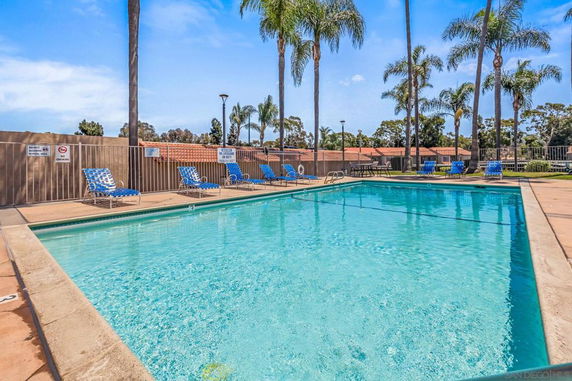 Outdoor swimming pool with lounge chairs and palm trees.