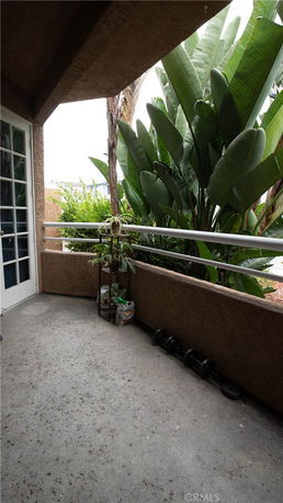 View from a balcony with potted plants and railing, overlooking leafy vegetation.