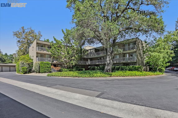 Front view of a multi-story building with balconies surrounded by trees.
