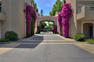 Front view of a building with an archway and flowering vines.