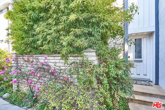 Front view of a house with a decorative entrance and surrounding plants.