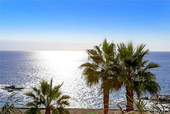 Panoramic view of the ocean with palm trees in the foreground.