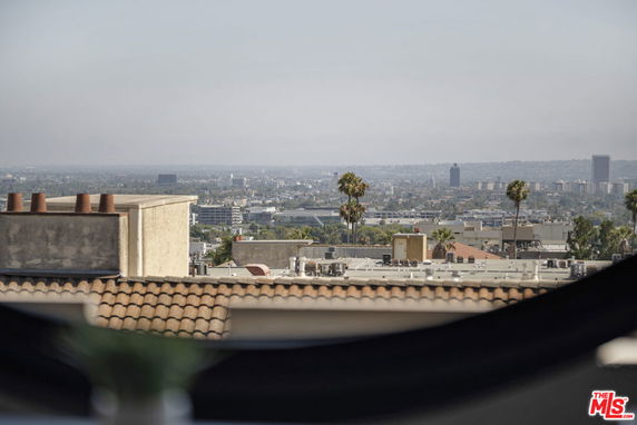 Wide angle view of cityscape with buildings and palm trees.