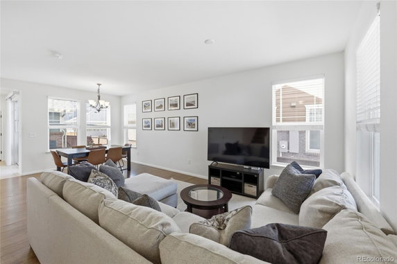 Community Images