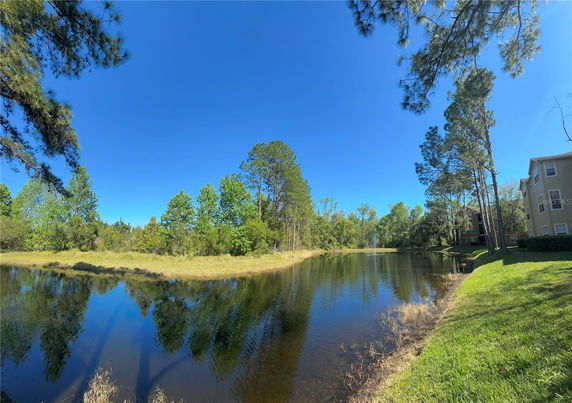 Wide angle view of a pond and surrounding trees, with a building visible on the right side.