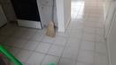 flstellar/07633f7c3b1f72149fcd06b0bcfa8d2d.jpg?width=131&height=105&format3=webp