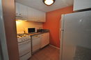 flstellar/0950cc7dcc6604857e2732e62721e585.jpg?width=131&height=105&format3=webp