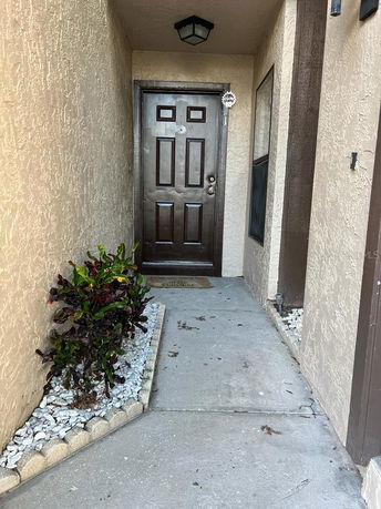 Front entrance of a house with a dark wooden door and a small walkway lined with plants and stones.