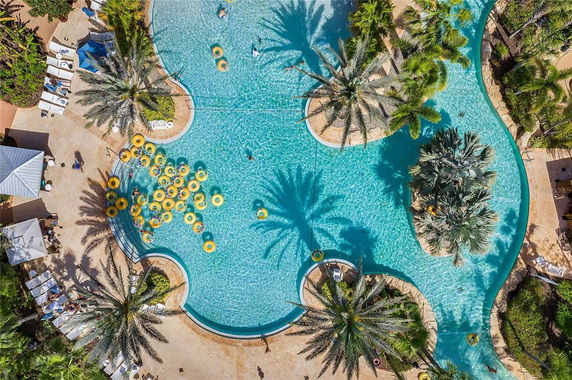 Aerial view of a large swimming pool surrounded by palm trees and sun loungers.