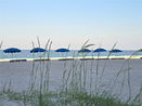 flstellar/21bfb1de9ab301feab9718a326fb016c.jpg?width=131&height=105&format3=webp