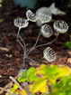 flstellar/2eb17e4c299c49b1bf9f4f60a8bcbb11.jpg?width=131&height=105&format3=webp
