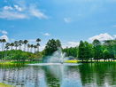 flstellar/322c9e98dcfe81d068cd26dd12dc1b76.jpg?width=131&height=105&format3=webp