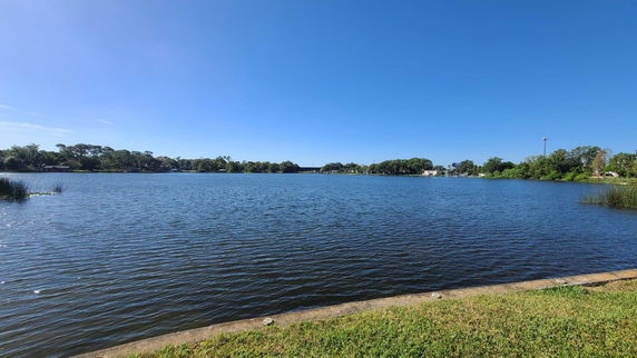 Waterfront view with greenery and trees in the background.