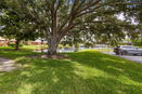 flstellar/3dd386a7440bad75a7d054a1896a7f1b.jpg?width=131&height=105&format3=webp