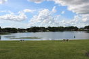 flstellar/48028bb3ee011df06f1c45055b297d7c.jpg?width=131&height=105&format3=webp