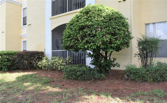 Side view of a yellow multi-story building with screened balconies and bushes in front.