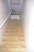 flstellar/4ded3f9e63d29b52dc330e5005e5463e.jpg?width=131&height=105&format3=webp