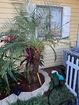 flstellar/5236e77a788690f83e7211433af33033.jpg?width=131&height=105&format3=webp