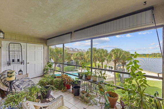 Outdoor balcony area with plants overlooking a pool and palm trees.