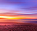 flstellar/5644ece082e5cde89b131a7d3a63443a.jpg?width=131&height=105&format3=webp
