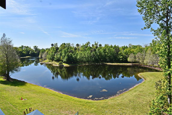 Panoramic view of a serene lake surrounded by trees and grassy areas.
