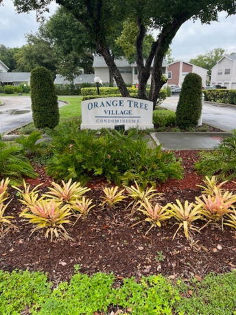 Community Image