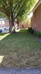 flstellar/644eba9b026a32680514858b52776c37.jpg?width=131&height=105&format3=webp