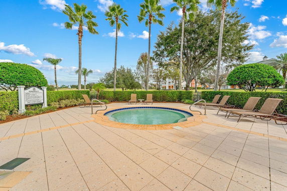 Outdoor swimming pool area with palm trees and lounge chairs.