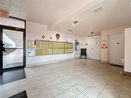 flstellar/6d03d11e62a59afe22fc614ca2607adf.jpg?width=131&height=105&format3=webp