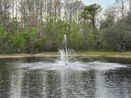 flstellar/6e115aad99b7b3b01071c74ab1765921.jpg?width=131&height=105&format3=webp