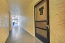 flstellar/76ae125711766c2d0aa125890e9117a3.jpg?width=131&height=105&format3=webp