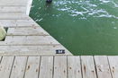 flstellar/866034cbf7b44598458b31968e49b561.jpg?width=131&height=105&format3=webp