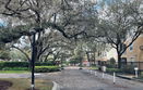 flstellar/86c2e74b42e91b3b8b1b88783e067aef.jpg?width=131&height=105&format3=webp