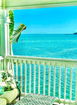 flstellar/919e2a3f1cb9c2e02db42eab29c36b26.jpg?width=131&height=105&format3=webp