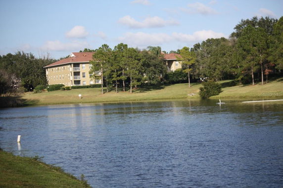 Building image