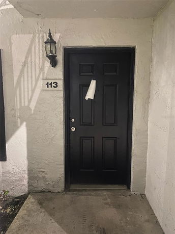 Front view of a residential door with a light fixture and unit number 113.