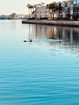 flstellar/a4f15da16f65671bd7208c342f4d54c0.jpg?width=131&height=105&format3=webp
