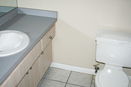 flstellar/a939ece47df37c58a3b1795c6072070c.jpg?width=131&height=105&format3=webp