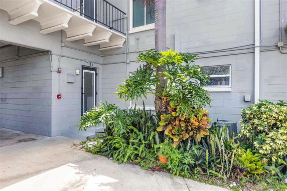 Front view of a building entrance with greenery and a window.