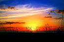 flstellar/b7f84dc6957fabe04b6e85f3e1312a5e.jpg?width=131&height=105&format3=webp