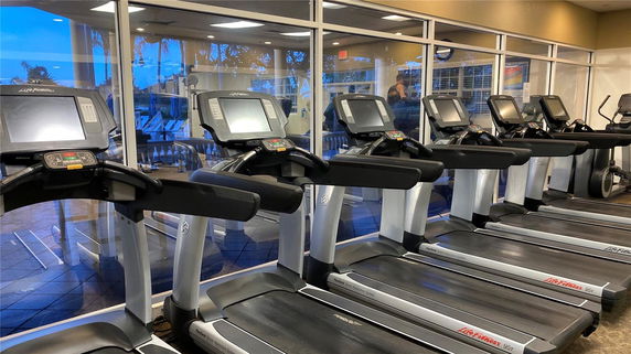 Indoor gym area with a row of treadmills in front of a glass wall.