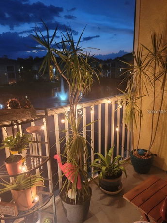 Balcony view with potted plants overlooking a fountain and buildings at dusk.