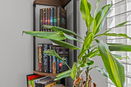 flstellar/c19a11e6afa5b20e5ddb58a7f9e1ac68.jpg?width=131&height=105&format3=webp